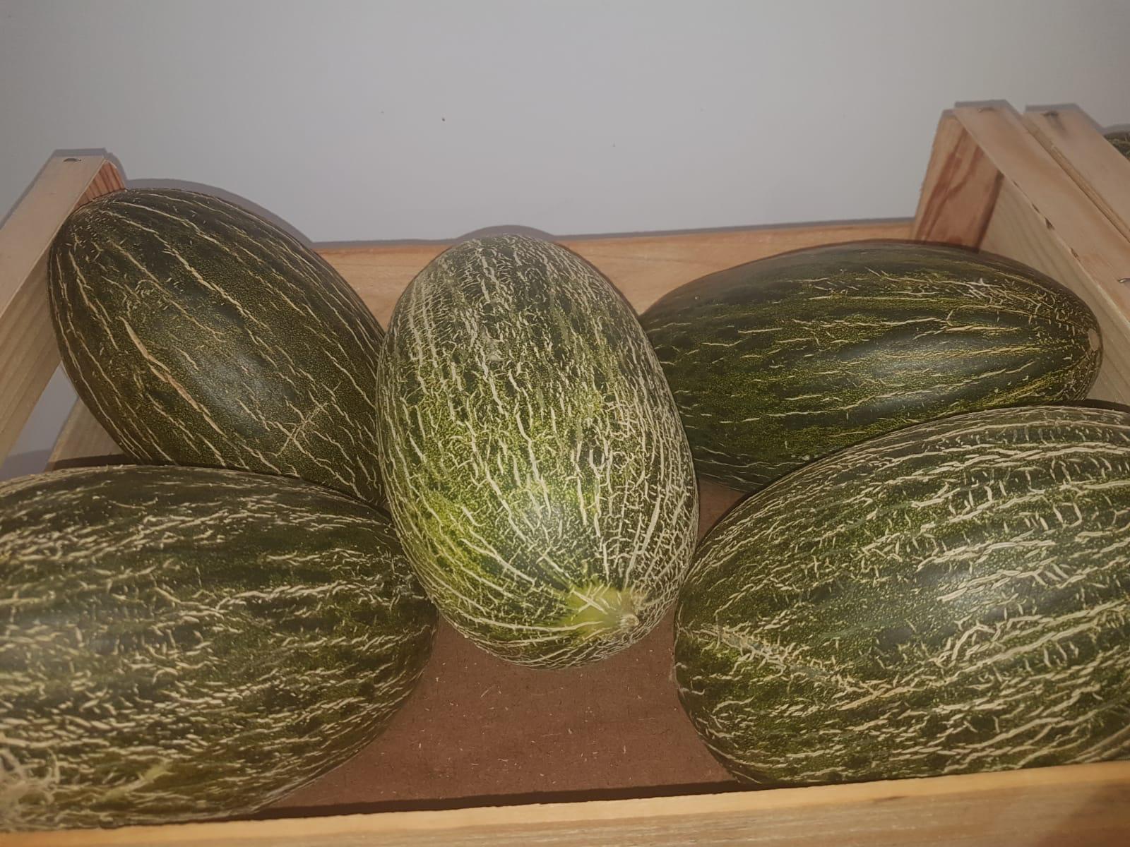Melones piel de sapo